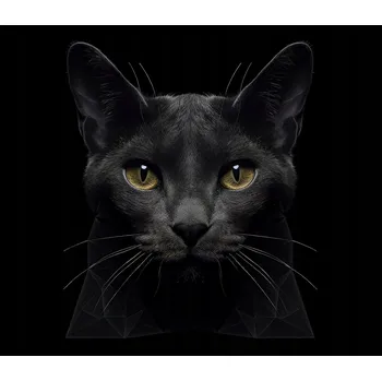 Kuchyňské prkénko Skleněná Ochranná Deska a Krájecí Prkénko | Indukce, Sporák ds-0304