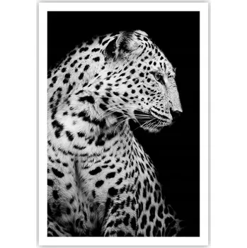 Obraz Plakát na zeď bez rámu 70x100 zvířata obraz plakáty do obývacího pokoje ložnice