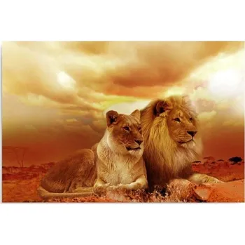 Obraz Tištěný obraz 40x30 Pár lvů lev lvice
