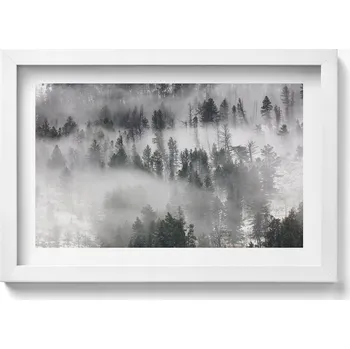 Obraz Nástěnný obraz v bílém rámu dekorace interiéru Krajina zamlžený les 30x20 cm