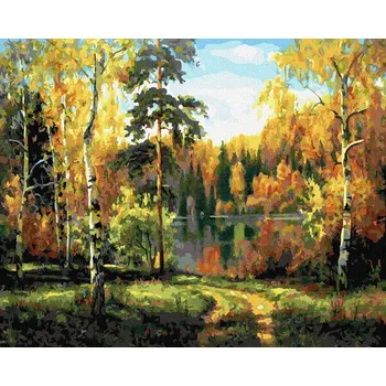 Obraz Malování podle čísel iPicasso 40x50 cm na rámu