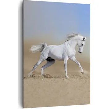 Obraz Obraz na plátně do obýváku, ložnice 50x70 kůň foto obrazy na zeď canvas