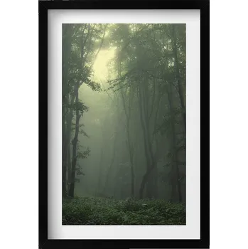 Obraz Dekorativní nástěnný obraz do obýváku kuchyně Mlhavý les za úsvitu 40x60 cm