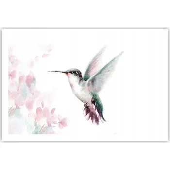 Obraz Obraz plakát do obýváku ložnice 91x61 kolibřík foto na zeď bez rámu