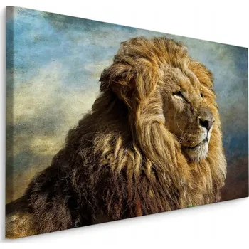Obraz Obraz na plátně LEV 3D Nebe Příroda Dekorace 70x50