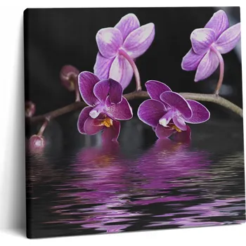 Obraz Foto Obraz Canvas Inspirativní do Obývacího Pokoje Růžový Květ Orchideje na Vodě