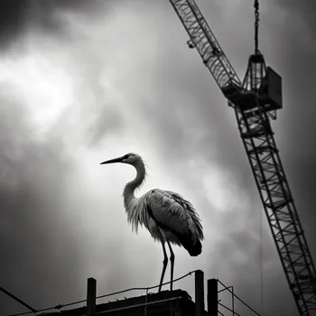 Plakát Plakát Vysoko nad Horizontem bez rámu 100 x 100 cm