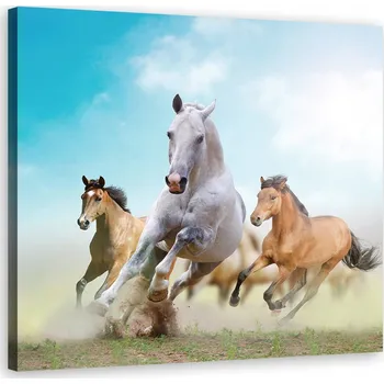 Obraz OBRAZ DO OBÝVÁKU Cválající koně 30x30