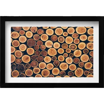 Obraz Dekorace obraz s grafikou v krásném černém rámu Dřevo pařezy stromů 30x20 cm