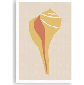 Obraz Plakát na zeď bez rámu 70x100 mušle obraz plakáty do obývacího pokoje ložnice