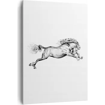 Obraz Obraz na plátně do obýváku, ložnice 50x70 kůň foto obrazy na zeď canvas