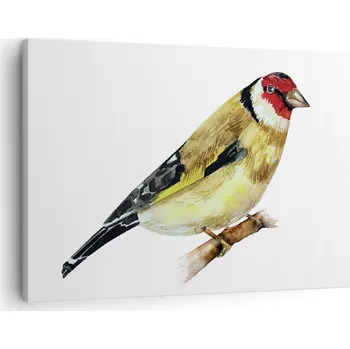 Obraz Obraz na plátně do obýváku ložnice 70x50 stehlík foto obrazy na zeď