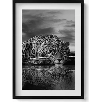 Obraz Moderní nástěnná dekorace Černobílý leopard divoké zvíře 50x70 cm