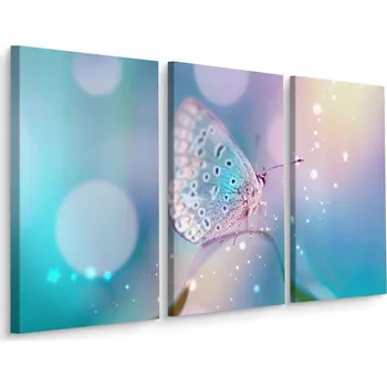 Obraz Obraz TRYPTYK Motýl Tráva Příroda Makro 3D 60x40