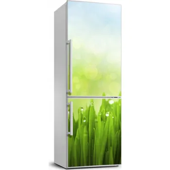 Fototapeta Samolepicí fólie / fototapeta na ledničku Tráva