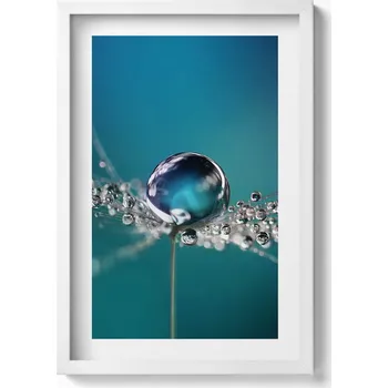 Obraz Elegantní obraz do obývacího pokoje v bílém rámu Kapka rosy na pampelišce 40x60 cm