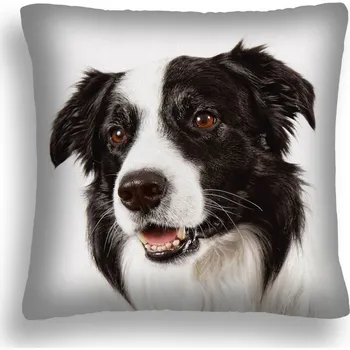 Polštář POLŠTÁŘ PES 12 BORDER KOLIE OVČÁK POVLAK PL