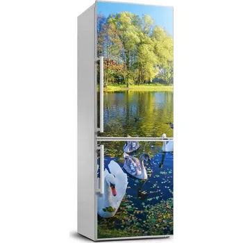 Fototapeta Foto tapeta na lednici Labutě na rybníku XL