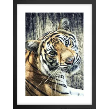 Obraz Obraz plakát v černém rámu do obýváku 30x40 zvířata plakáty na zeď