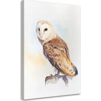 Obraz Obraz na plátně Modrý pták D. Martyńska 40x60