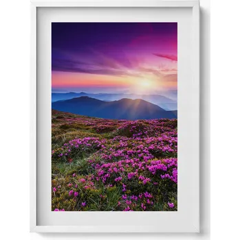 Obraz Dekorace, obraz s grafikou v krásném bílém rámu - Východ slunce s květinami, 50x70 cm