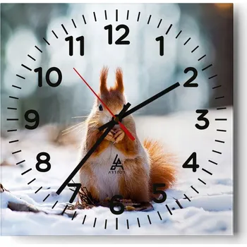 Hodiny Nástěnné hodiny do obýváku 40x40 Zvířata Bezhluczne Skleněné hodiny Tiché