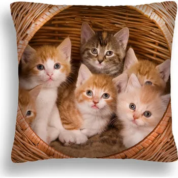 Polštář Polštář 50 x 50 cm