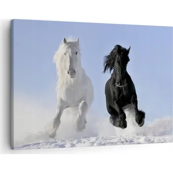 Obraz Obraz na plátně do obýváku, ložnice 70x50 zvířata foto obrazy na zeď