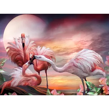 Obraz Malování Podle Čísel PLAMEŇÁCI S RÁMEM 40x50 OBRAZ