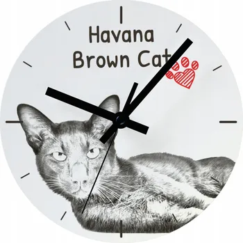 Hodiny Nástěnné hodiny Art-Dog bílé 20 cm