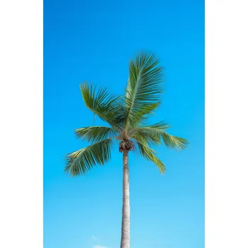 Plakát Plakát Vysočina Nebe bez rámu 53 x 81 cm