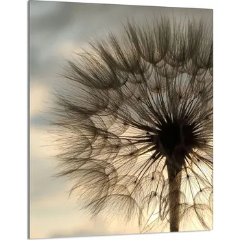 Kuchyňské prkénko Krájecí deska TMK ArtDeko sklo 1 ks