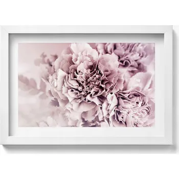 Obraz Dekorativní obraz v bílém rámu do obývacího pokoje Bledě růžové pivoňky okvětní lístky 30x20 cm