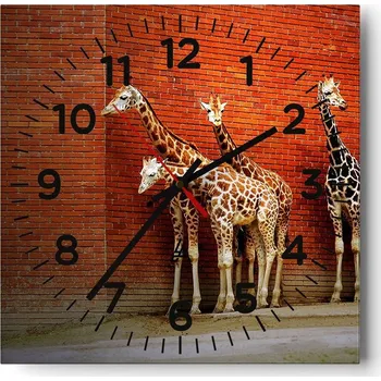 Hodiny Nástěnné hodiny do obýváku 40x40 Zvířata Bezhluczne Skleněné hodiny Tiché