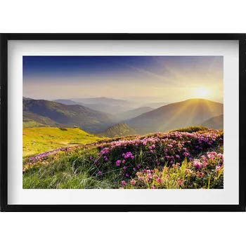 Obraz Dekorativní obraz s grafikou v krásném černém rámu - Hory a louka květin 70x50 cm