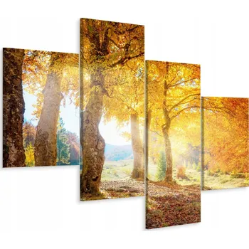 Obraz Vícedílný obraz LES Podzim Příroda 3D 160x100 cm