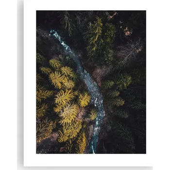 Obraz Obraz plakát na zeď bez rámu 40x50 les foto plakáty do obýváku ložnice