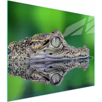 Kuchyňské prkénko Krájecí deska TMK ArtDeko sklo 1 ks