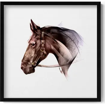 Obraz Nástěnný dekorativní obraz v rámu s grafikou Malovaný profil koně 50x50 cm
