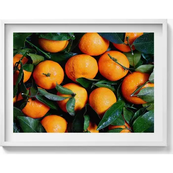 Obraz Dekorace, obraz s grafikou v krásném rámu - Zralé italské pomeranče 80x60 cm