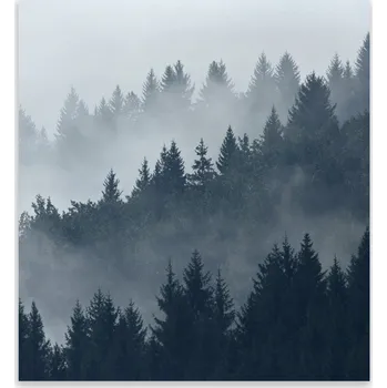 Kuchyňské prkénko Skleněná Ochranná Deska a Krájecí Prkénko | Indukce, Sporák ds-0442