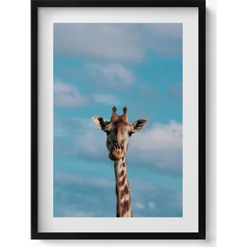 Obraz Dekorativní obraz v černém rámu do obýváku Hlava žirafy na pozadí oblohy 50x70 cm