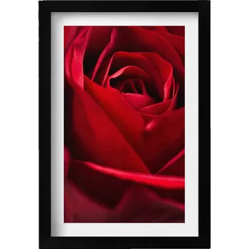 Obraz Nástěnný obraz do obývacího pokoje kuchyně Zblízka na červené okvětní lístky růže 20x30 cm