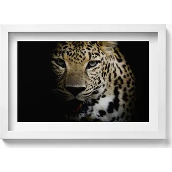 Obraz Dekorace, obraz s grafikou v krásném rámu Divoká kočka tygr v černé barvě 30x20 cm