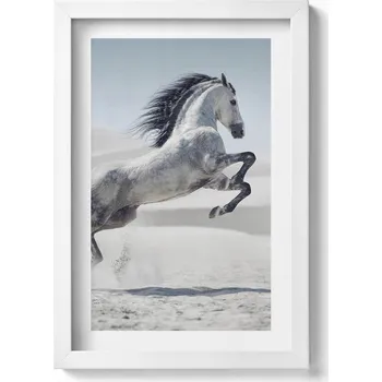Obraz Nástěnný obraz v bílém rámu do obýváku, kuchyně - Bílý kůň v cvalu 20x30 cm