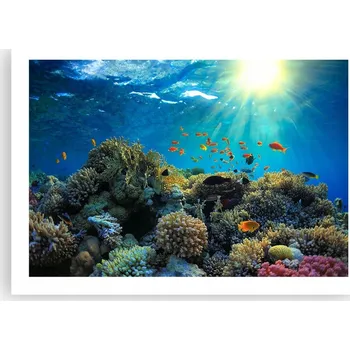 Obraz Plakát bez rámu do obýváku ložnice 70x50 útes moře moderní módní obraz