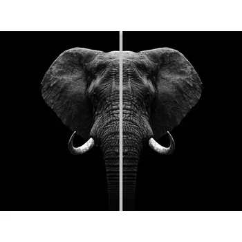 Kuchyňské prkénko Skleněná Ochranná Deska a Krájecí Prkénko | Indukce, Sporák ds-0572