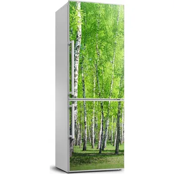 Fototapeta Samolepka na ledničku samolepící Březový les 70x190