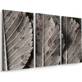 Obraz Obraz Triptych Šedé LISTY Příroda Makro 3D 60x40