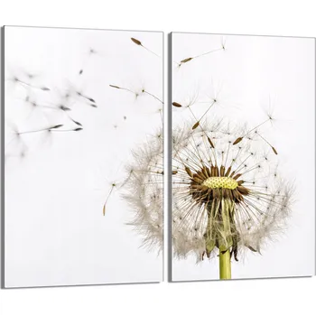 Kuchyňské prkénko Krájecí deska TMK ArtDeko sklo 2 ks